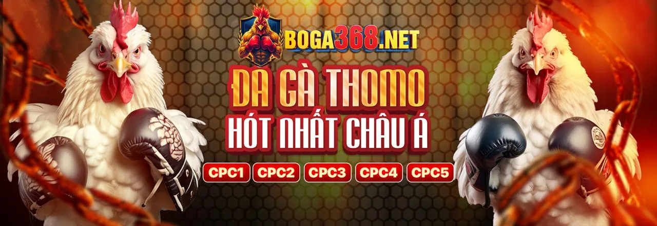 Hình ảnh sòng bạc trực tuyến kc99 casino